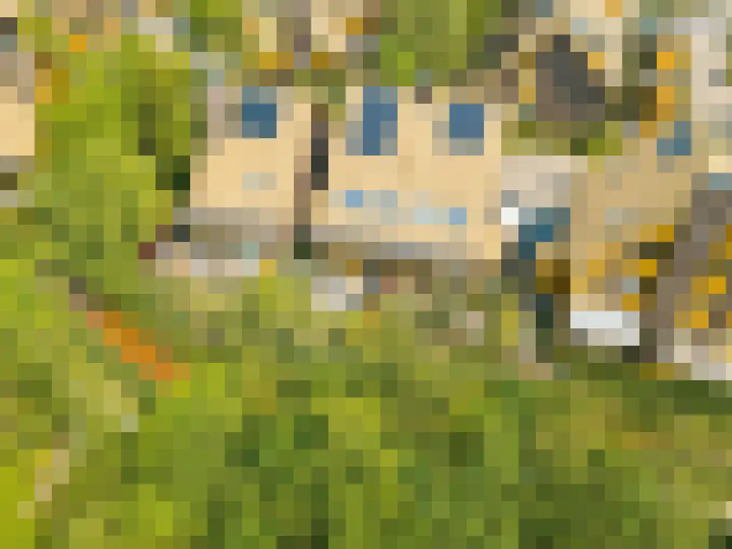 Noorderduinstraat 117 Almere thumbnail 5