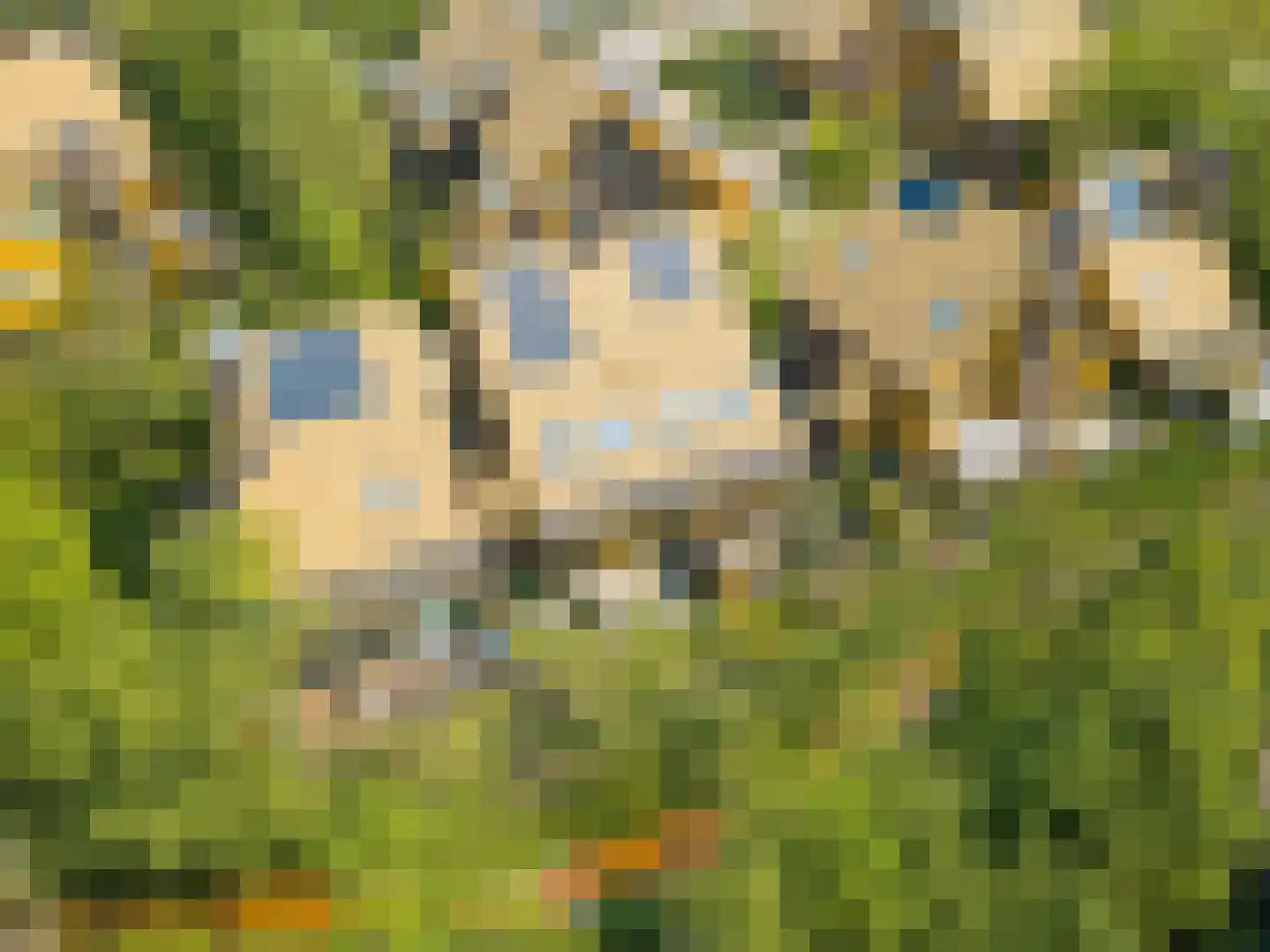 Noorderduinstraat 117 Almere thumbnail 72