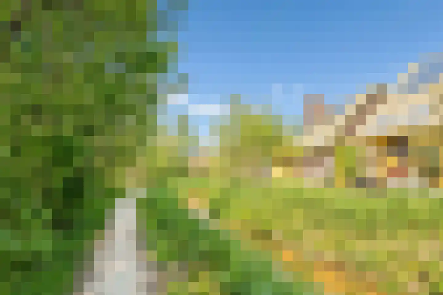 Noorderduinstraat 117 Almere thumbnail 74