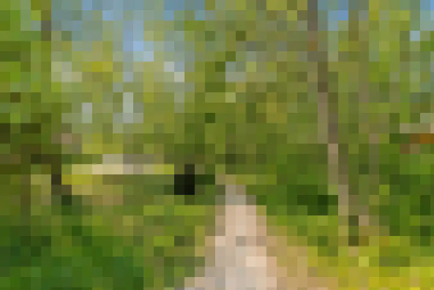 Noorderduinstraat 117 Almere thumbnail 76