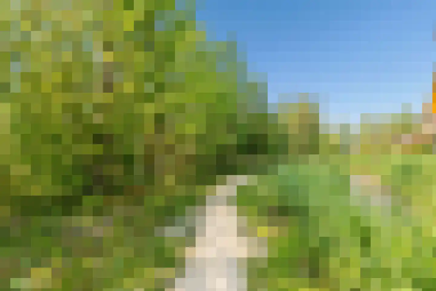 Noorderduinstraat 117 Almere thumbnail 78