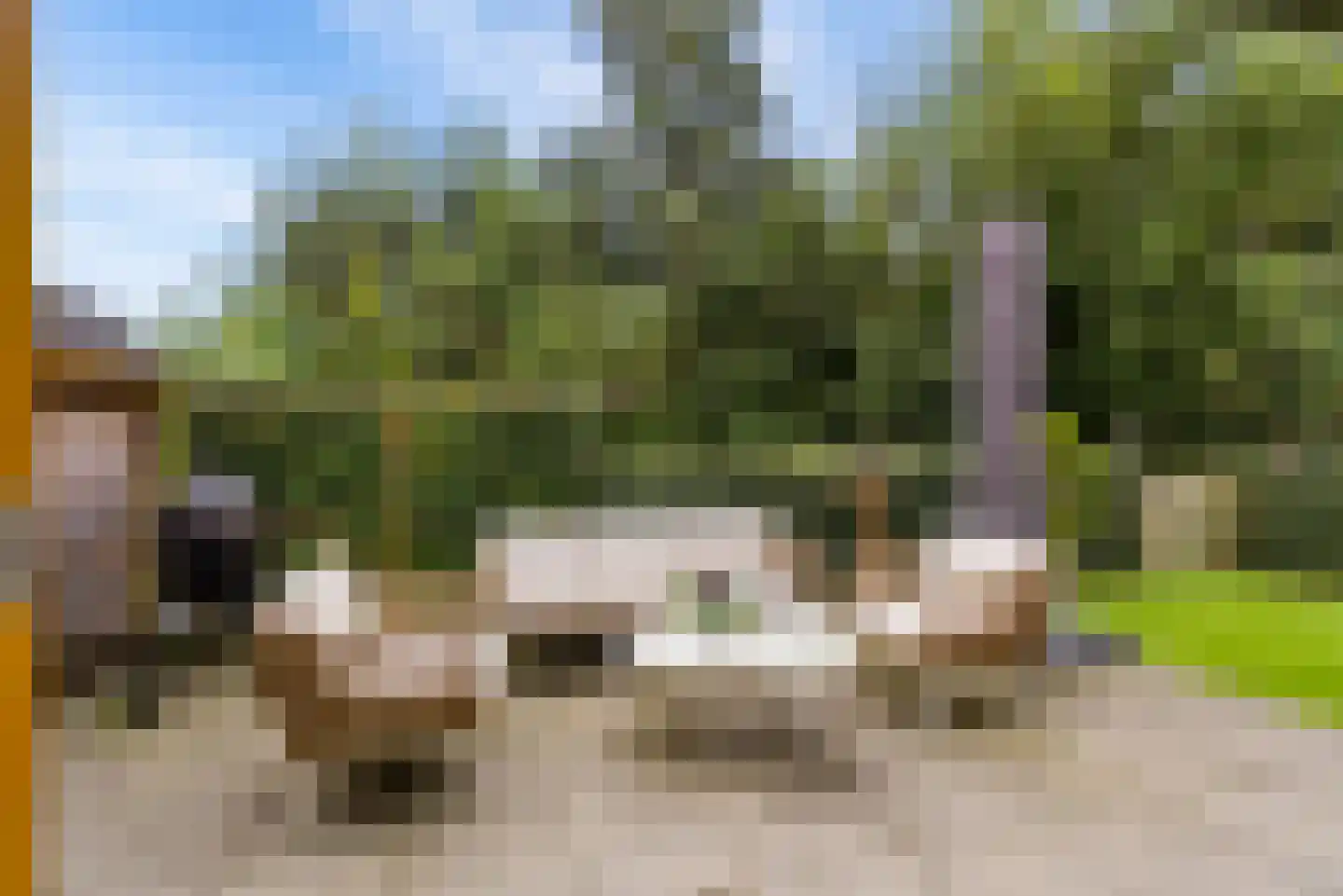 Noorderduinstraat 203 Almere thumbnail 29