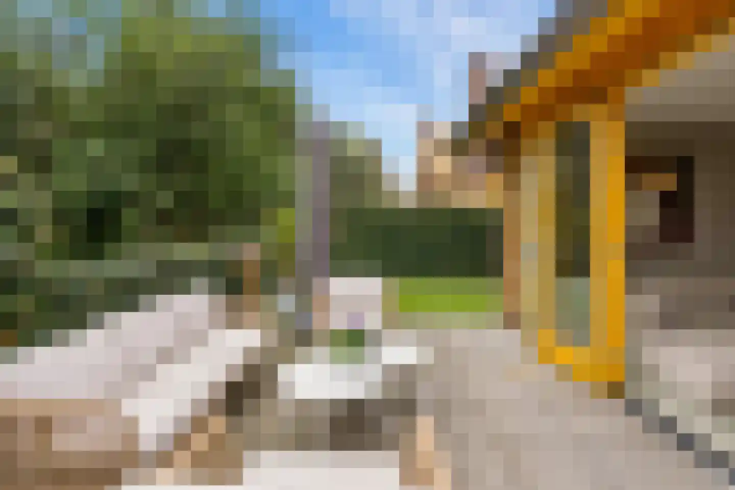 Noorderduinstraat 203 Almere thumbnail 31