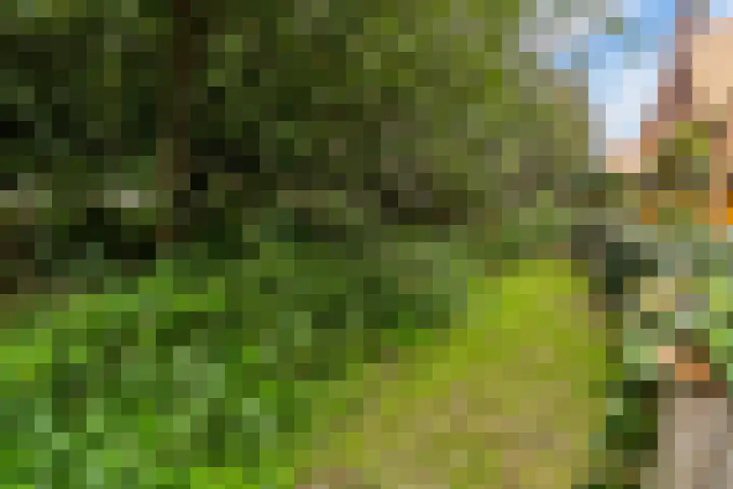 Noorderduinstraat 203 Almere thumbnail 32