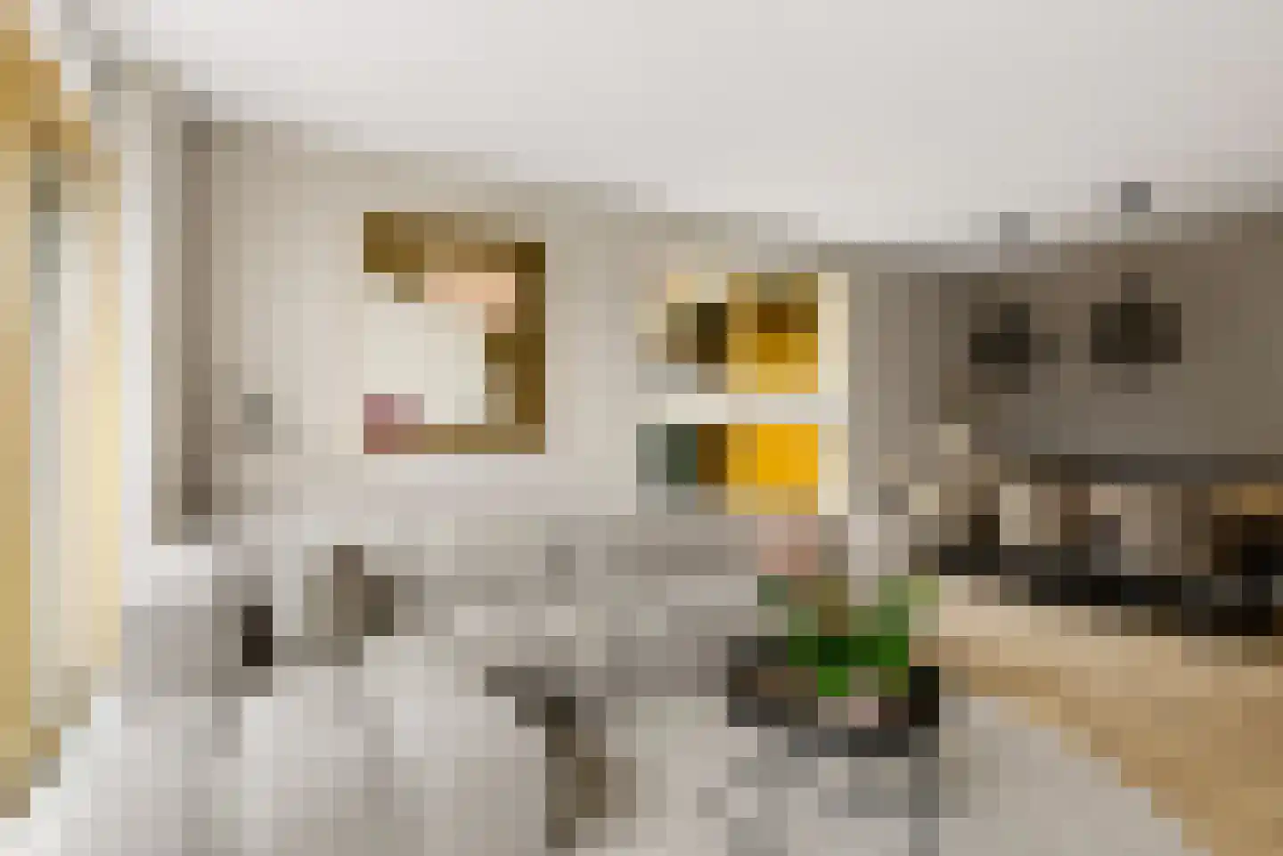 Noorderduinstraat 203 Almere thumbnail 38
