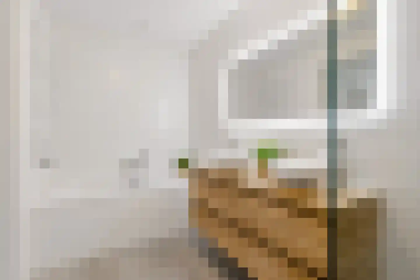 Noorderduinstraat 203 Almere thumbnail 51
