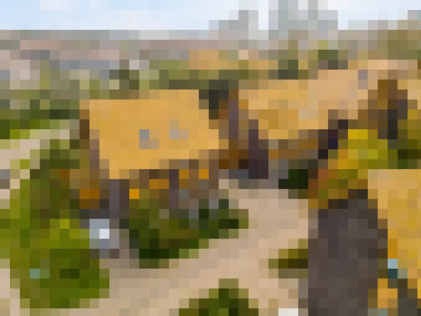 Noorderduinstraat 203 Almere thumbnail 69