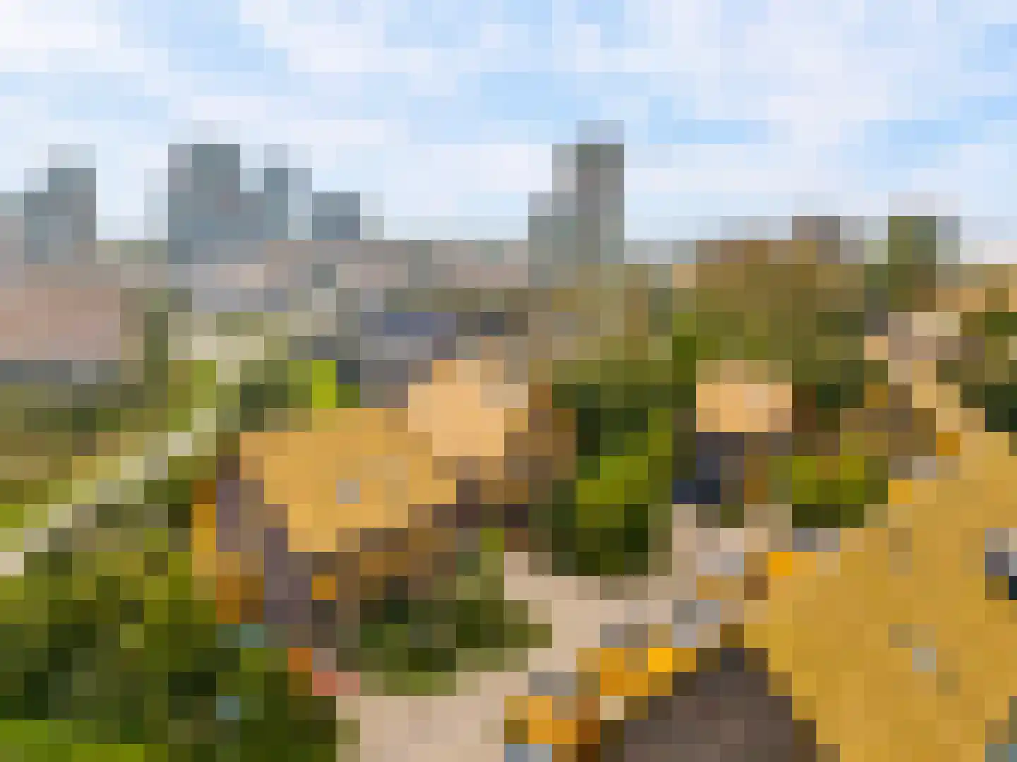 Noorderduinstraat 203 Almere thumbnail 7