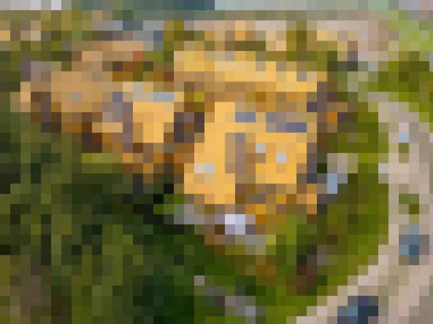 Noorderduinstraat 203 Almere thumbnail 70