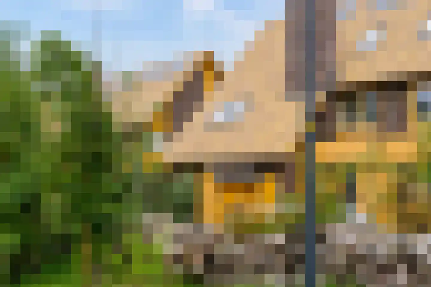 Noorderduinstraat 203 Almere thumbnail 72