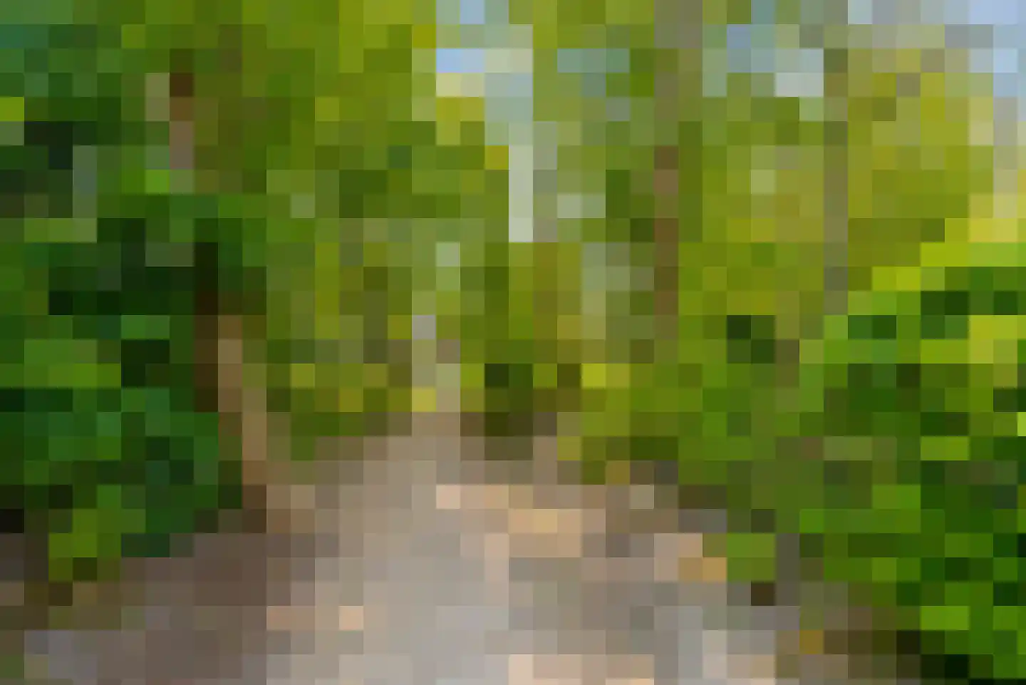 Noorderduinstraat 203 Almere thumbnail 73