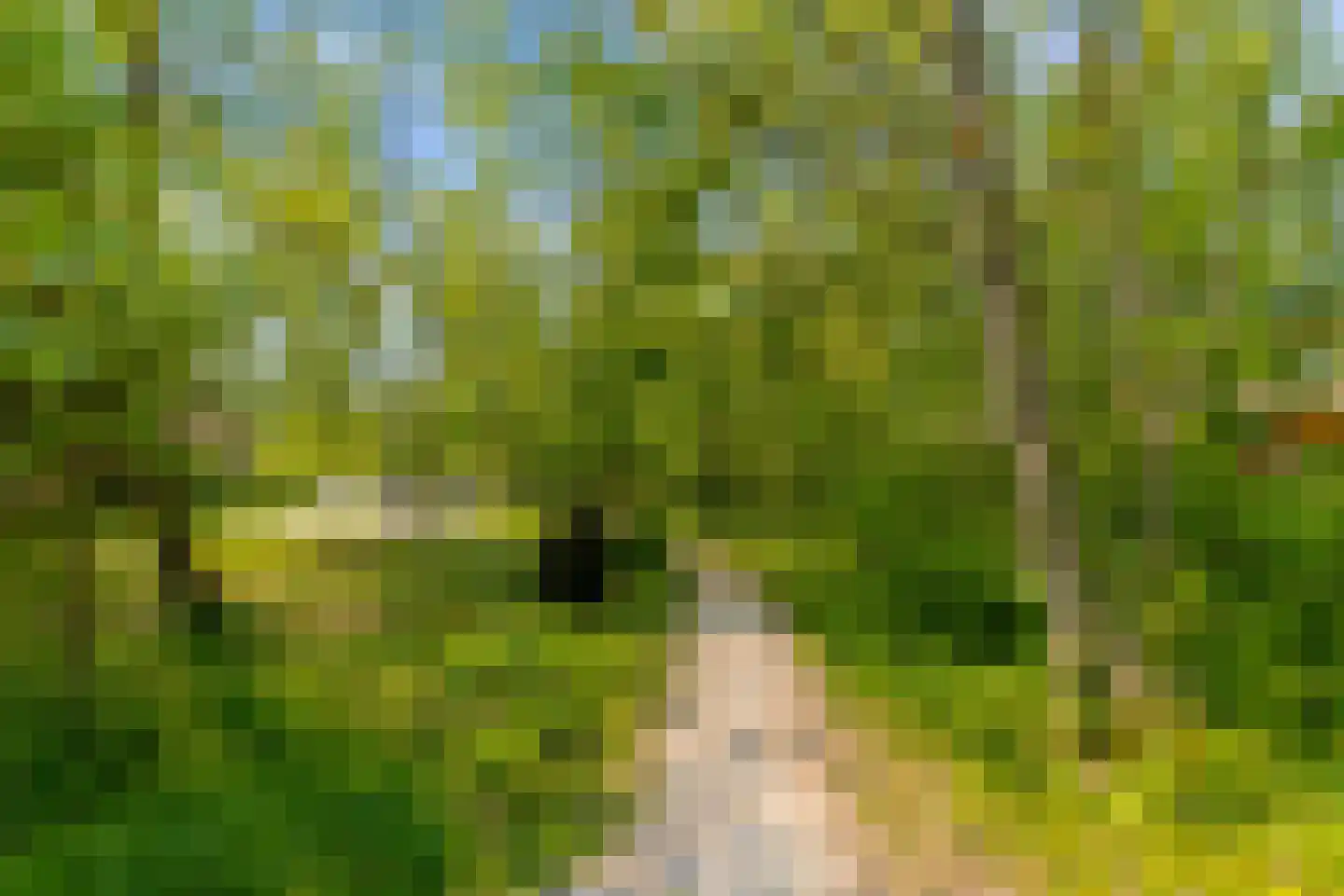Noorderduinstraat 203 Almere thumbnail 74