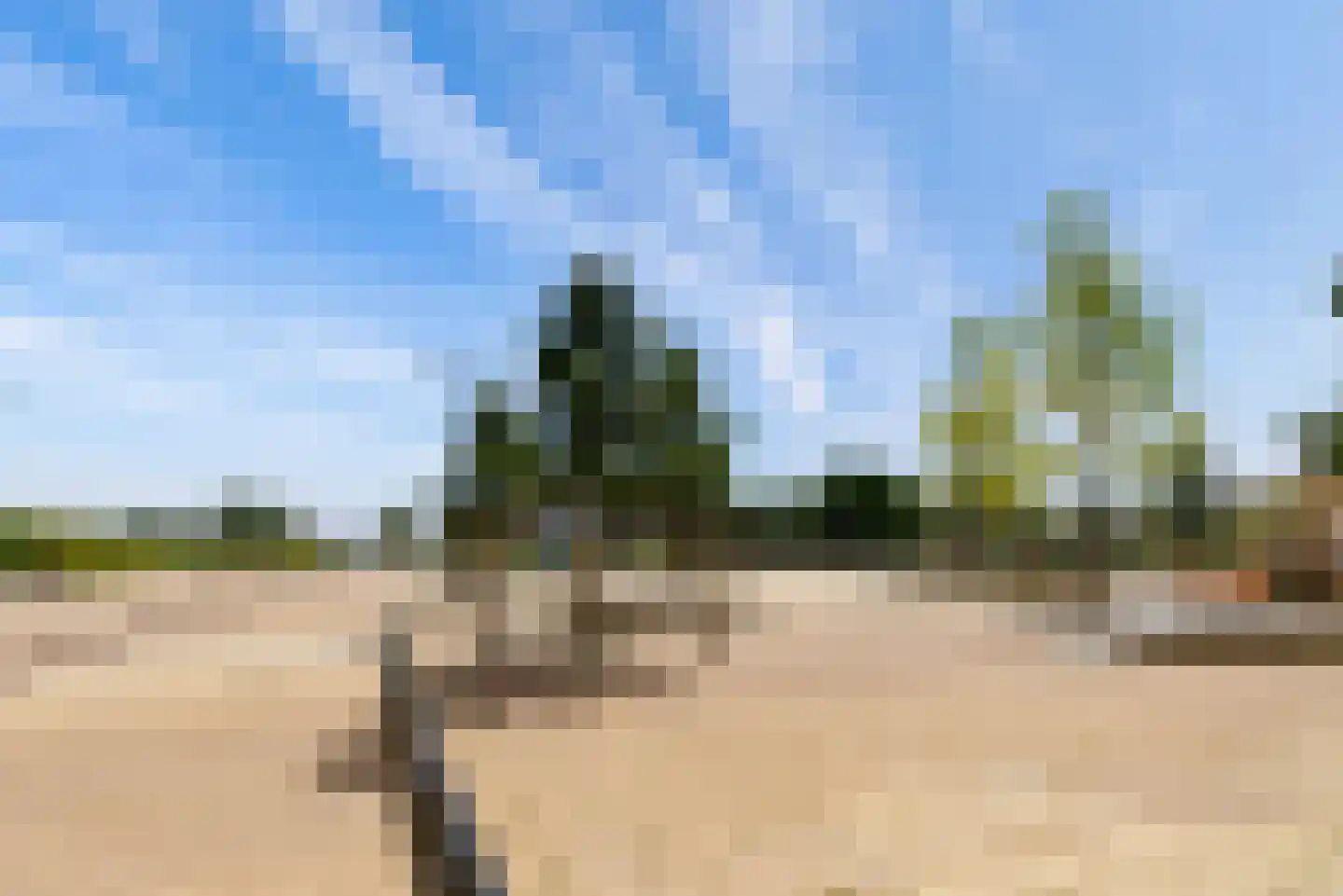 Noorderduinstraat 203 Almere thumbnail 76