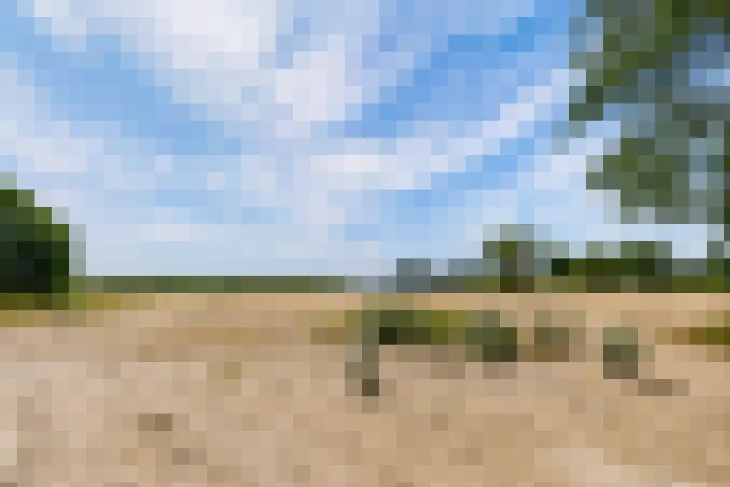Noorderduinstraat 203 Almere thumbnail 77