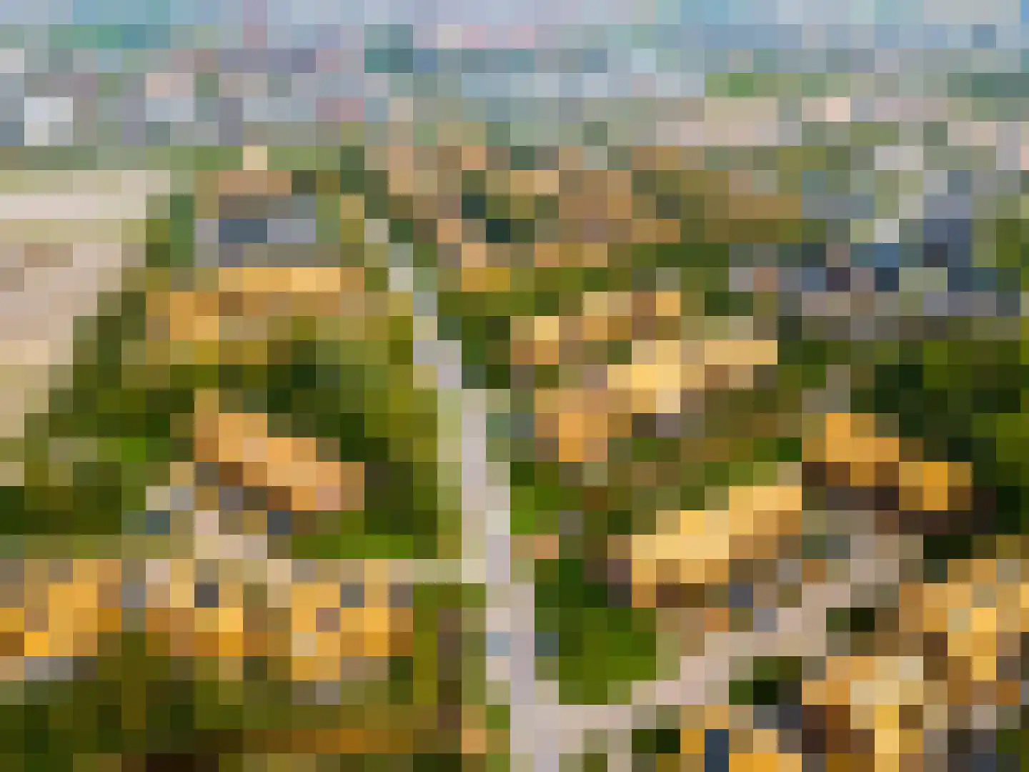 Noorderduinstraat 203 Almere thumbnail 81