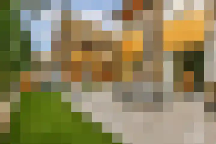 Noorderduinstraat 207 Almere thumbnail 15