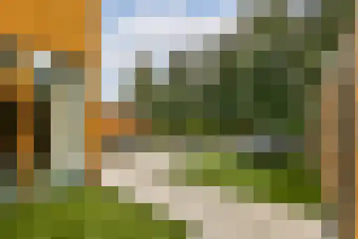 Noorderduinstraat 207 Almere thumbnail 16