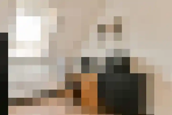Noorderduinstraat 207 Almere thumbnail 31