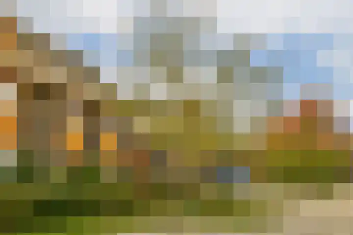 Noorderduinstraat 207 Almere thumbnail 33