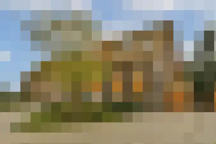 Noorderduinstraat 207 Almere thumbnail 34