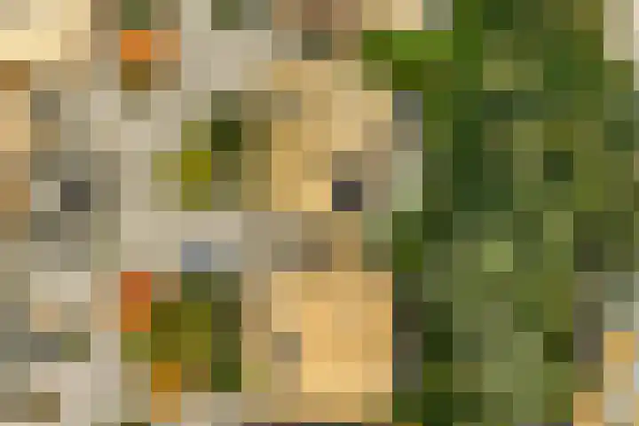 Noorderduinstraat 207 Almere thumbnail 36