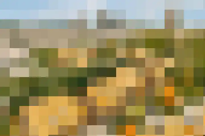 Noorderduinstraat 207 Almere thumbnail 39