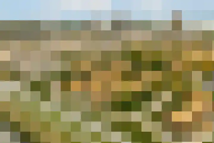 Noorderduinstraat 207 Almere thumbnail 43