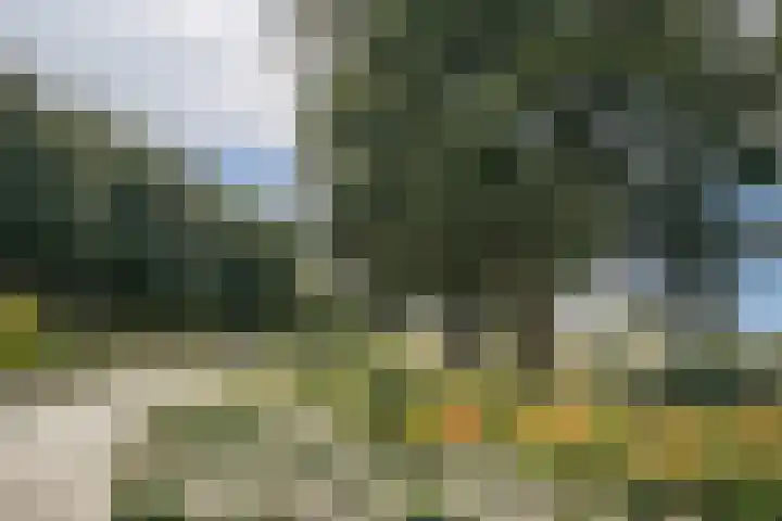 Noorderduinstraat 207 Almere thumbnail 51