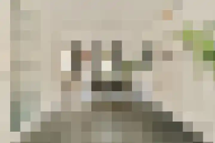 Noorderduinstraat 207 Almere thumbnail 7