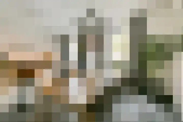 Noorderduinstraat 207 Almere thumbnail 9