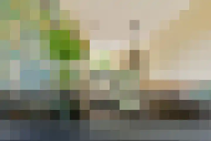 Noorderduinstraat 217 Almere thumbnail 11