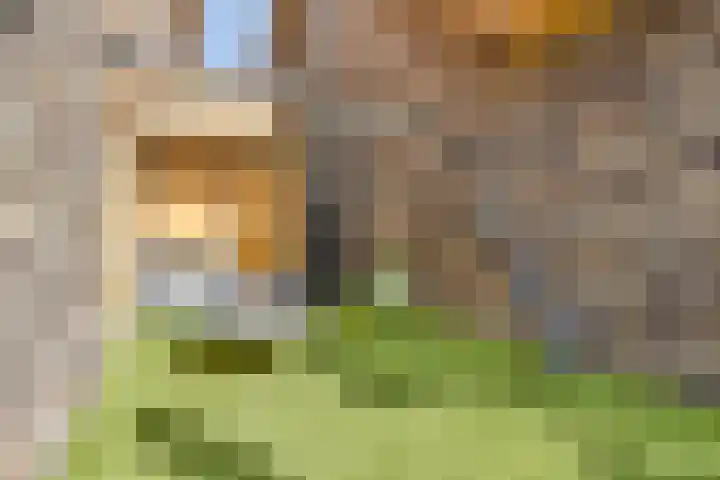 Noorderduinstraat 217 Almere thumbnail 15
