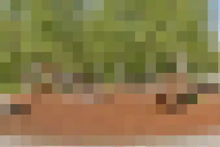 Noorderduinstraat 217 Almere thumbnail 35