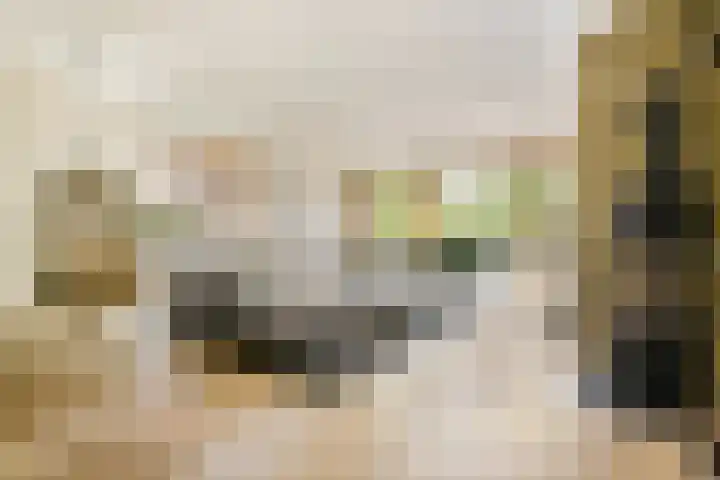 Noorderduinstraat 217 Almere thumbnail 4