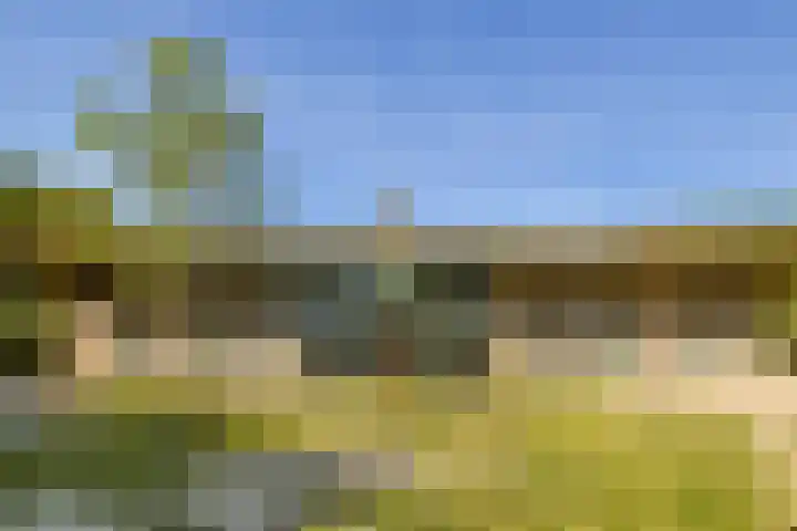 Noorderduinstraat 217 Almere thumbnail 43