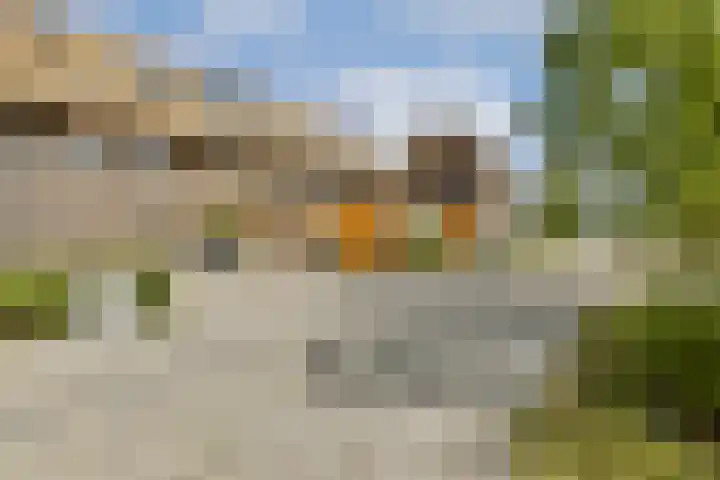 Noorderduinstraat 225 Almere thumbnail 35