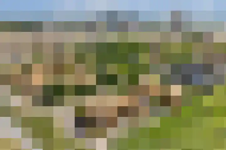 Noorderduinstraat 225 Almere thumbnail 36