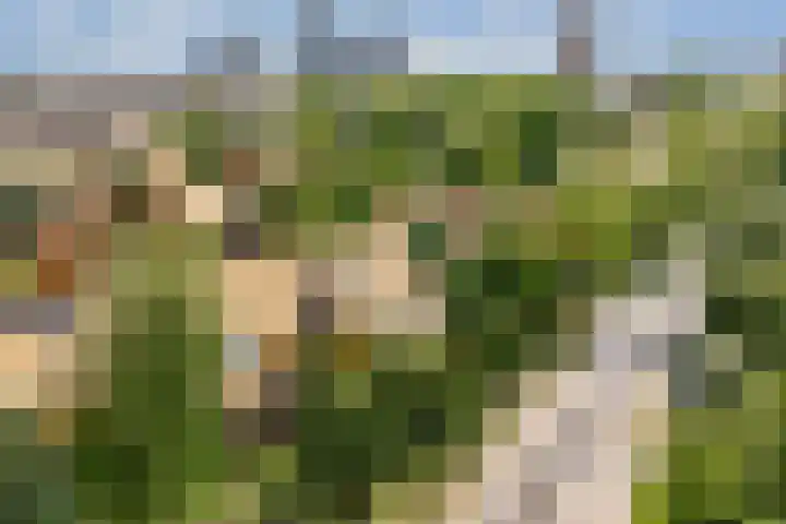 Noorderduinstraat 225 Almere thumbnail 37