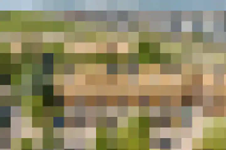 Noorderduinstraat 225 Almere thumbnail 38