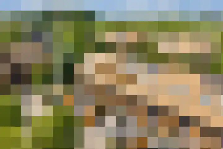 Noorderduinstraat 225 Almere thumbnail 39