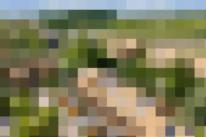 Noorderduinstraat 225 Almere thumbnail 40