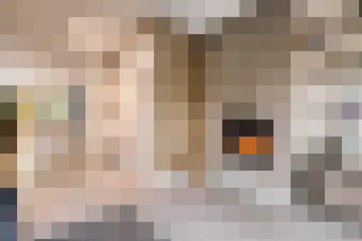 Noorderduinstraat 307 Almere thumbnail 12