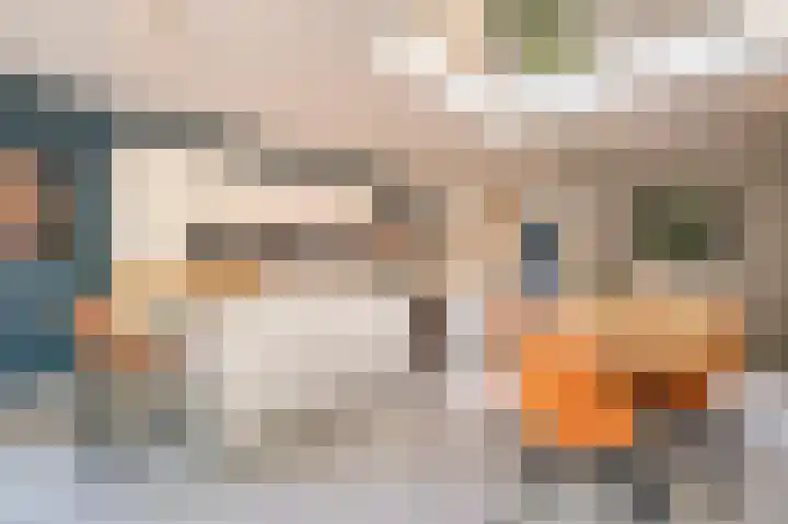 Noorderduinstraat 307 Almere thumbnail 21