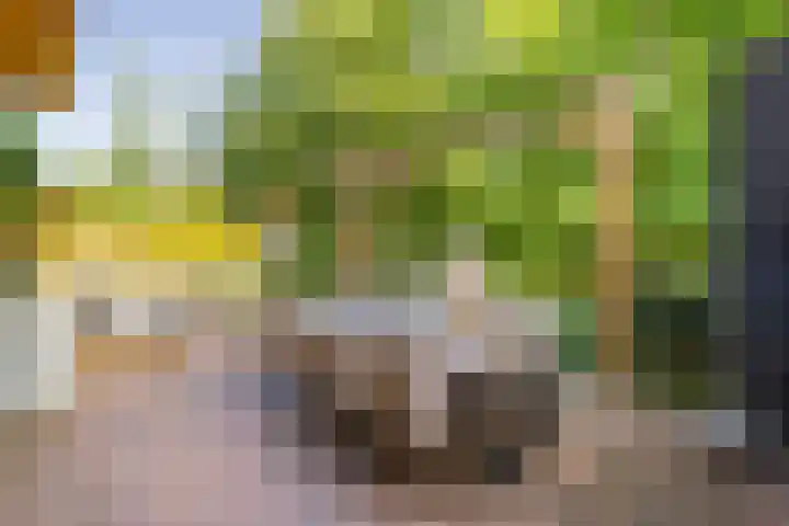 Noorderduinstraat 307 Almere thumbnail 24