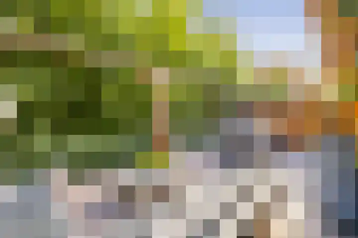 Noorderduinstraat 307 Almere thumbnail 25