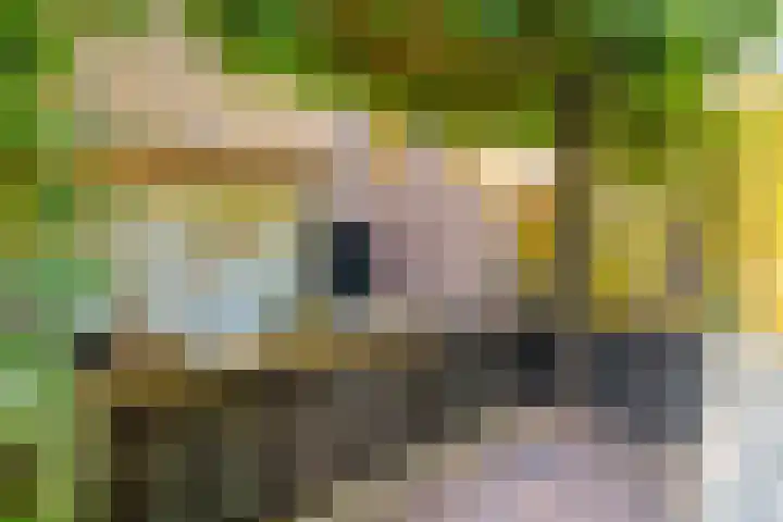 Noorderduinstraat 307 Almere thumbnail 26