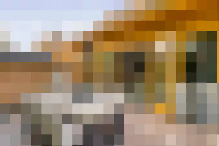 Noorderduinstraat 307 Almere thumbnail 29
