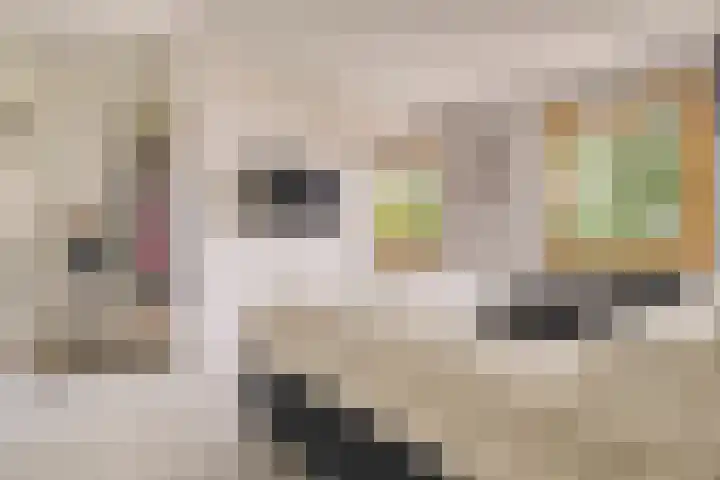 Noorderduinstraat 307 Almere thumbnail 33