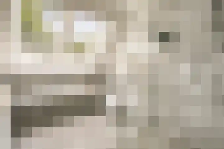 Noorderduinstraat 307 Almere thumbnail 36