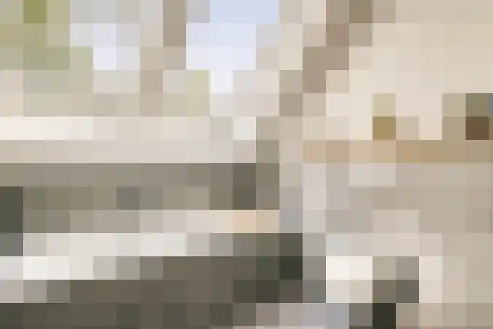 Noorderduinstraat 307 Almere thumbnail 37